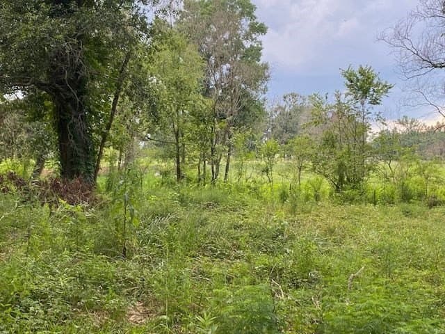 10 acres in Texas County - photo 15