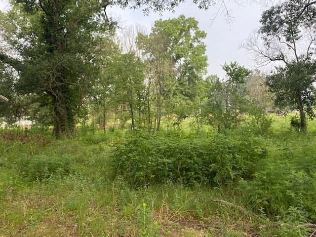 10 acres in Texas County - photo 10