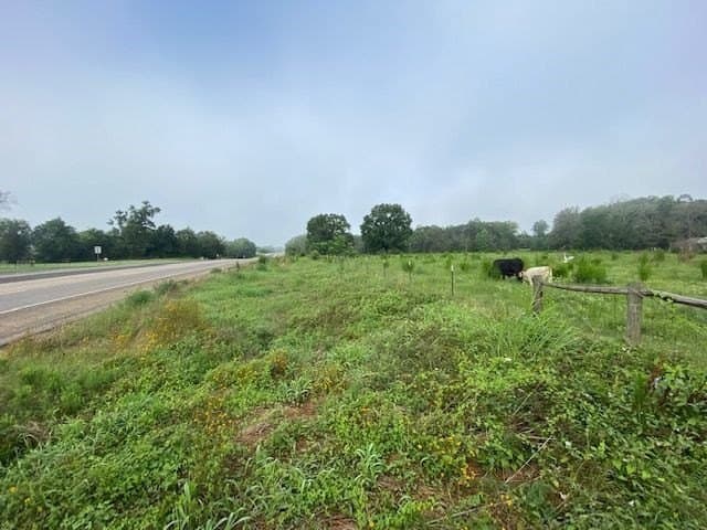 10 acres in Texas County - photo 19
