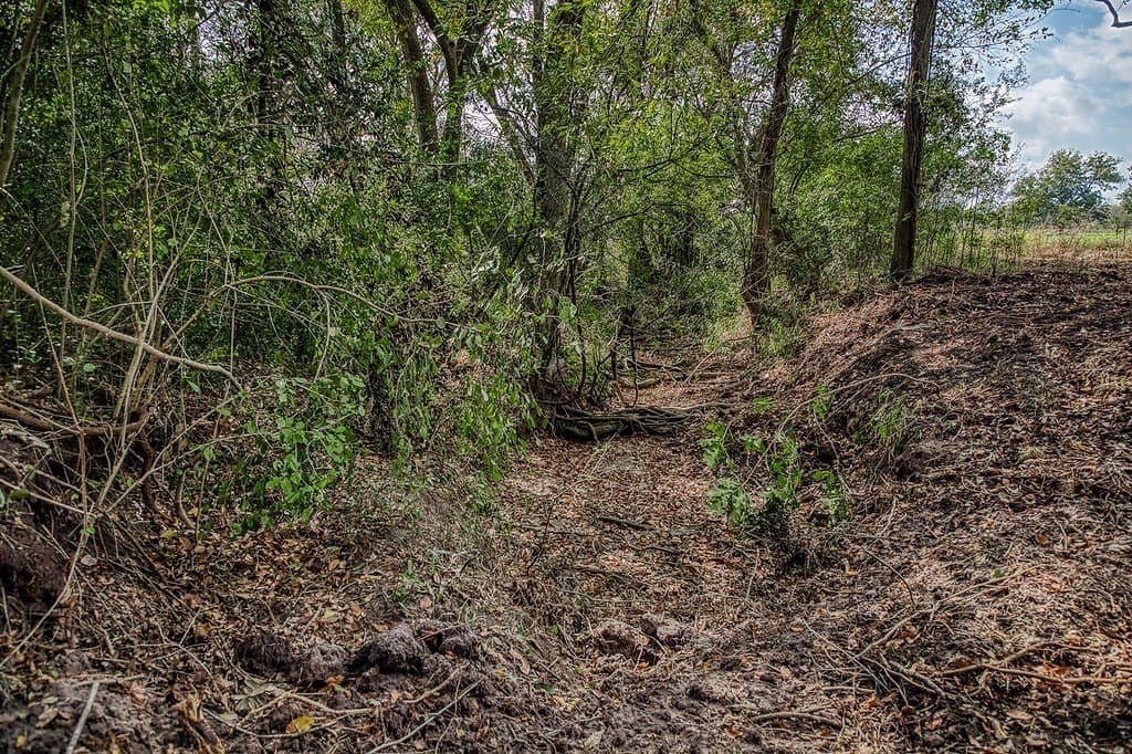 10 acres in Washington County - photo 12