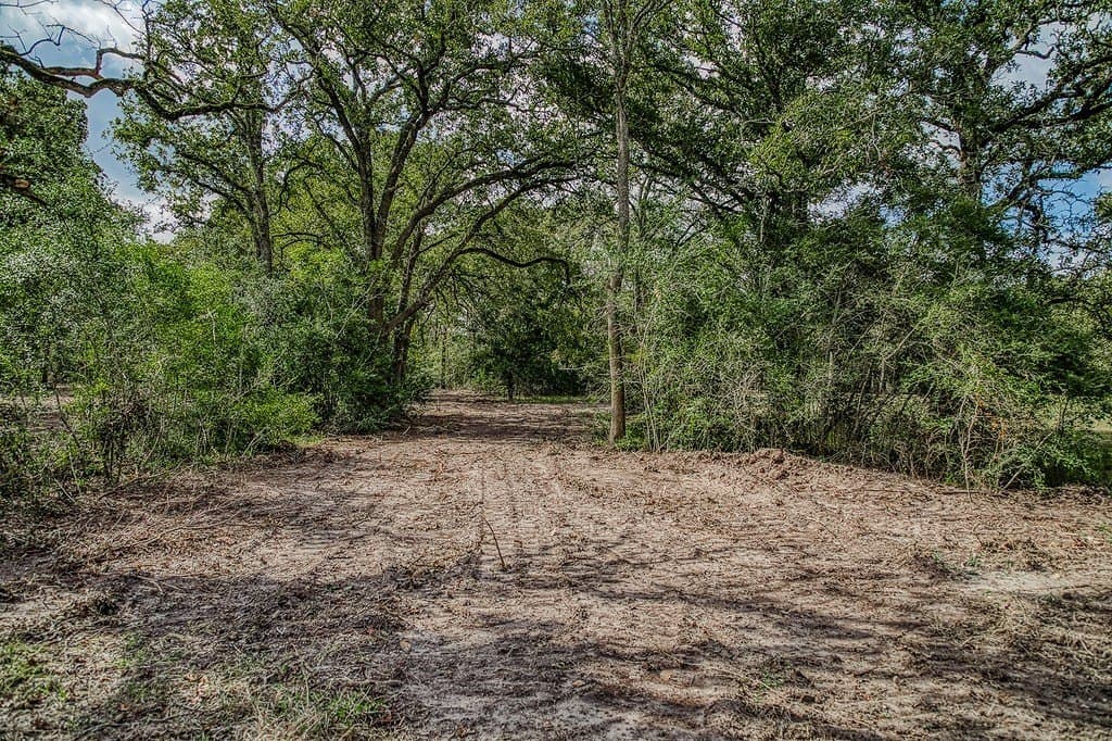 10 acres in Washington County - photo 27