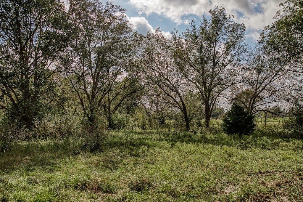 10 acres in Washington County - photo 18