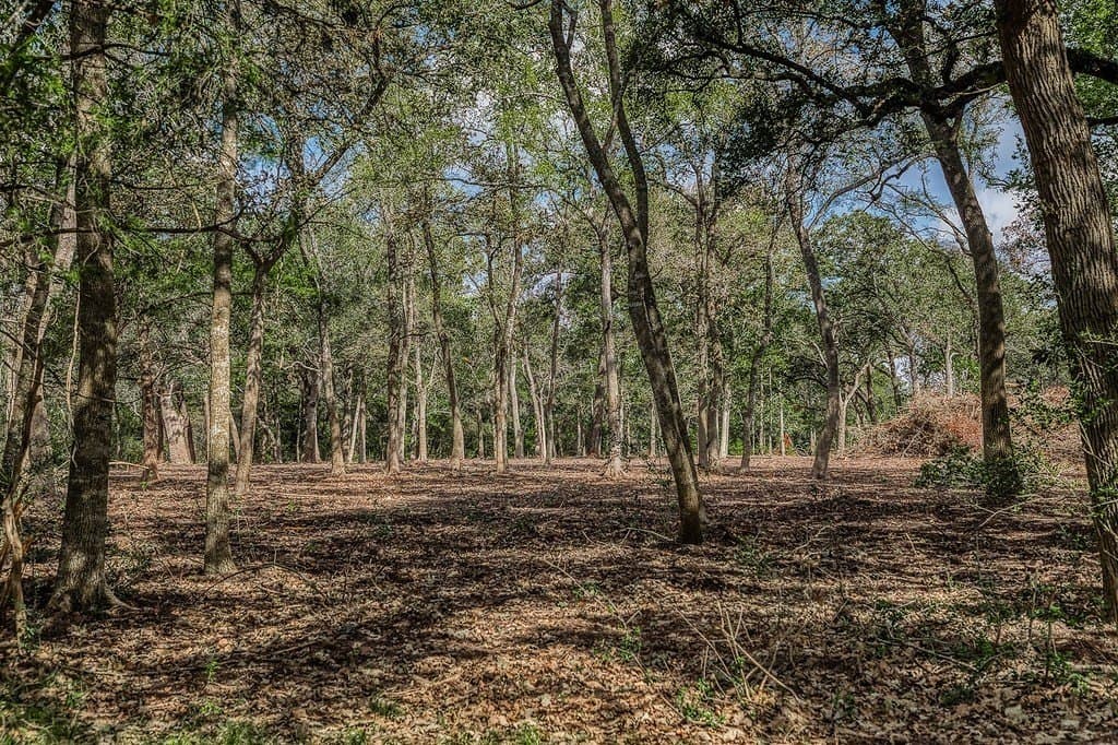 10 acres in Washington County - photo 19