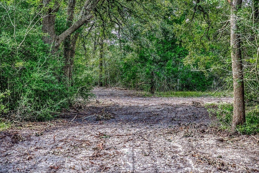 10 acres in Washington County - photo 26