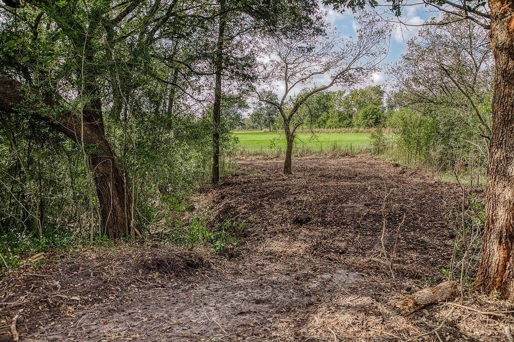 10 acres in Washington County - photo 14