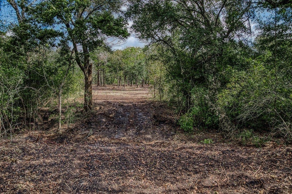 10 acres in Washington County - photo 11
