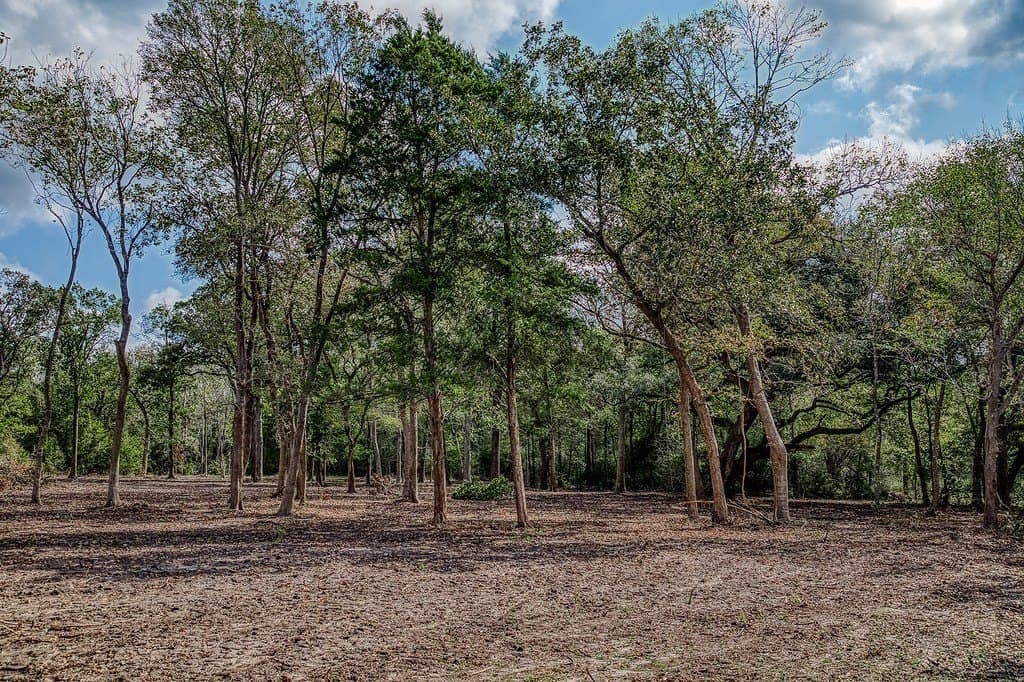 10 acres in Washington County - photo 16