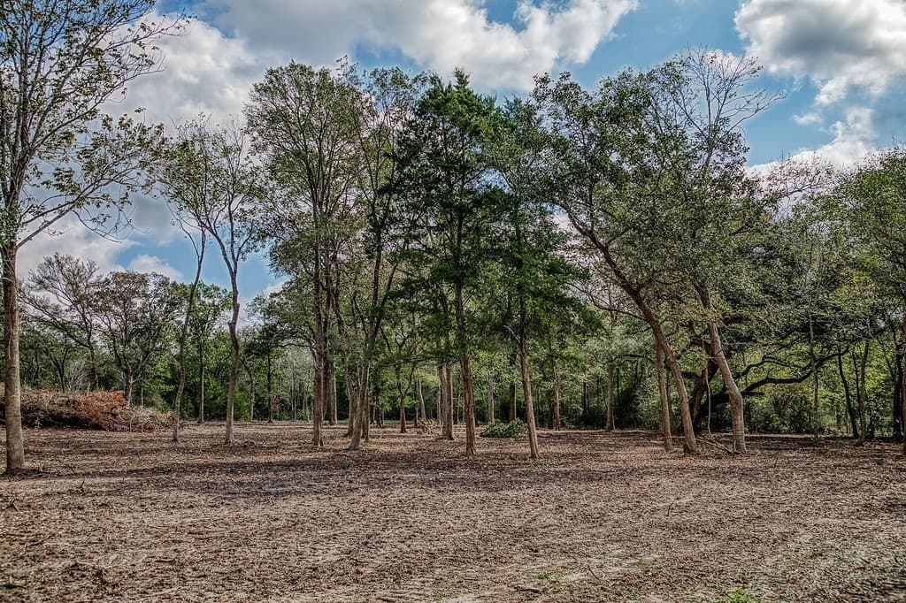 10 acres in Washington County - photo 17