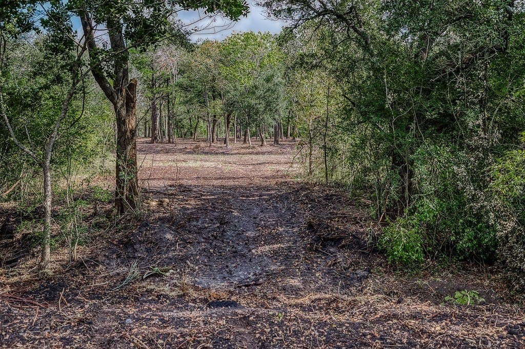 10 acres in Washington County - photo 10