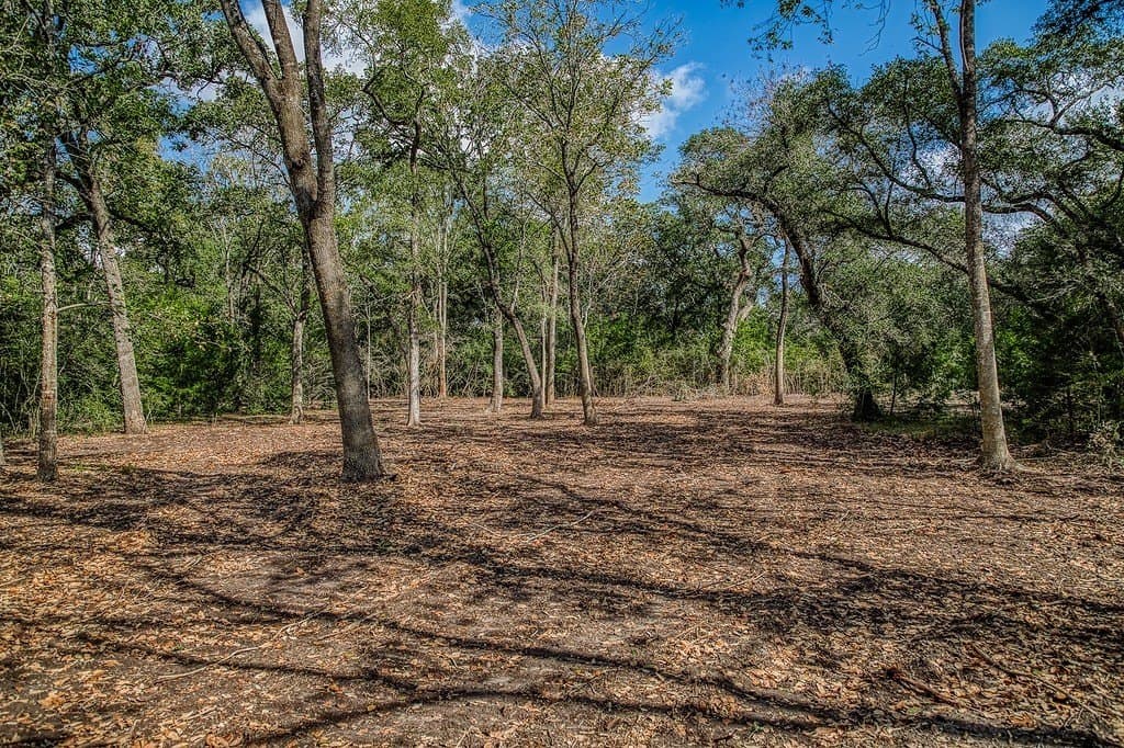 10 acres in Washington County - photo 9