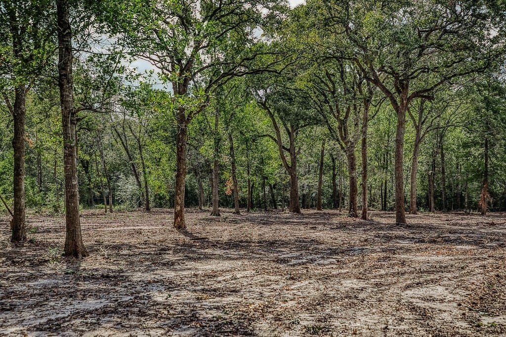 10 acres in Washington County - photo 22