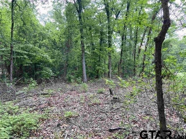3.22 acres in Smith County gallery image 3