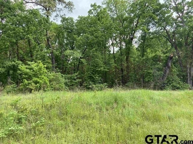 3.22 acres in Smith County gallery image 2