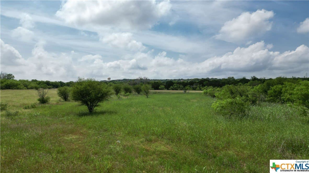 22.02 acres in Comal County gallery image 2