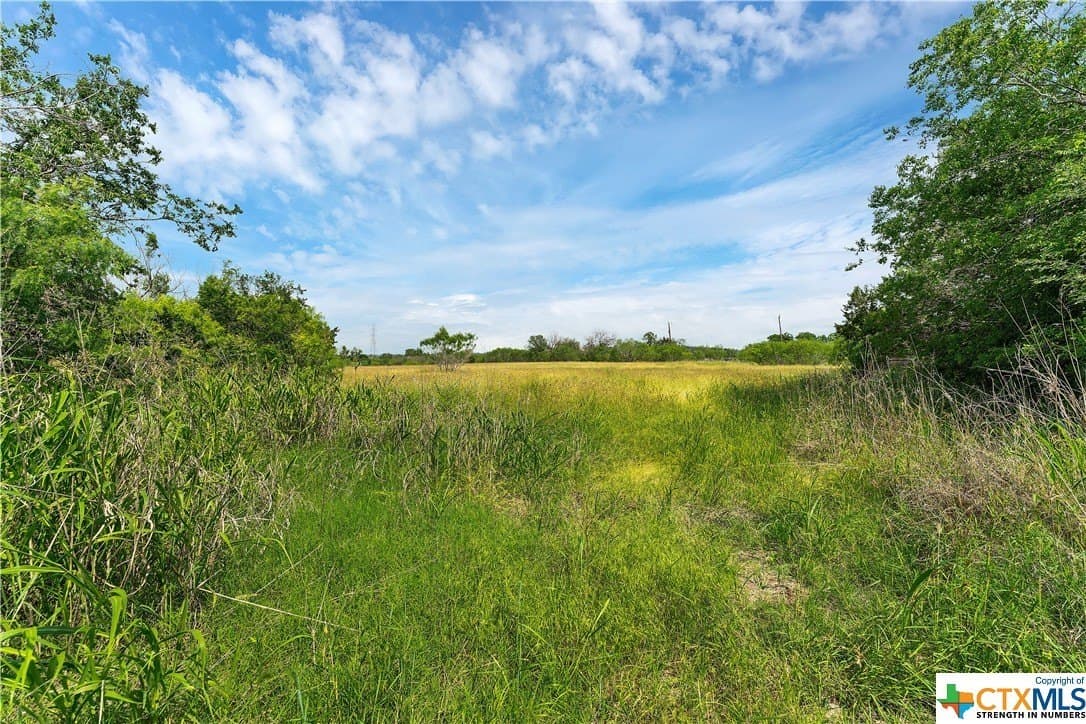 22.02 acres in Comal County gallery image 3