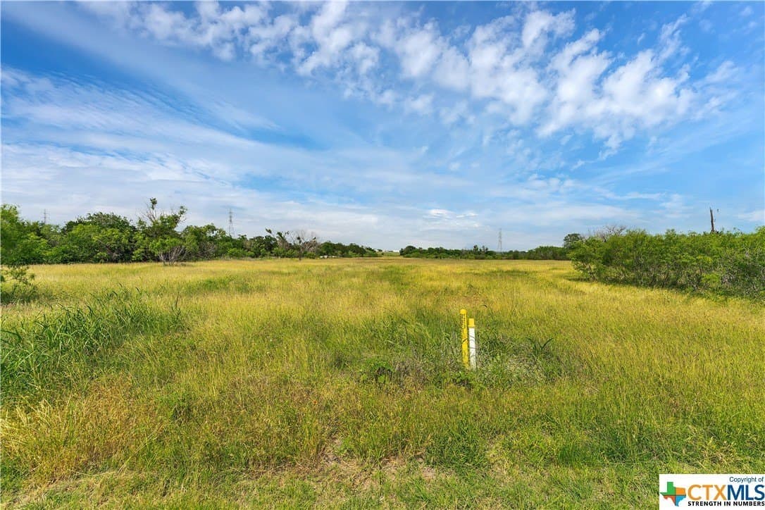 22.02 acres in Comal County gallery image 4