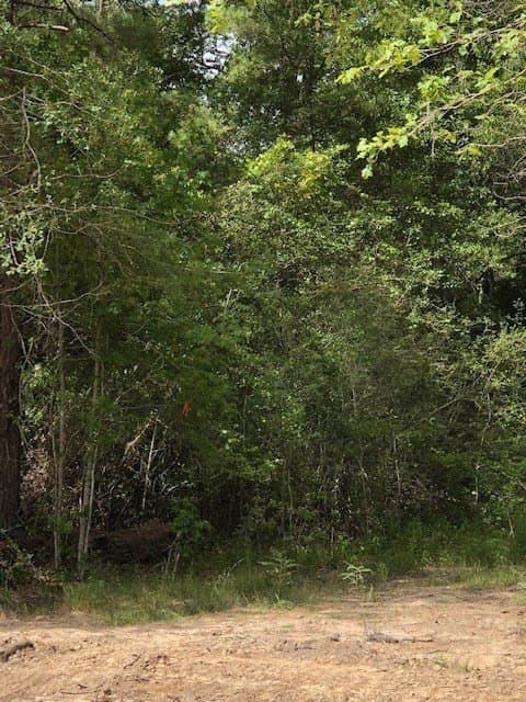 1.72 acres in Texas County - photo 11