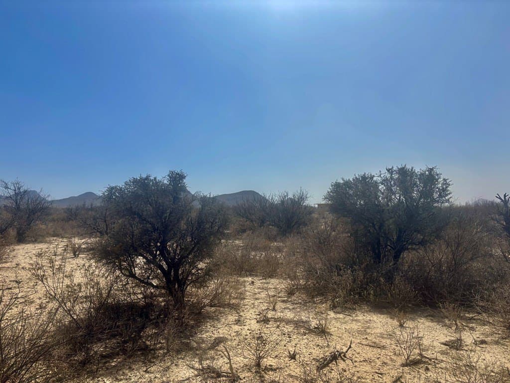 5 acres in Brewster County - photo 15