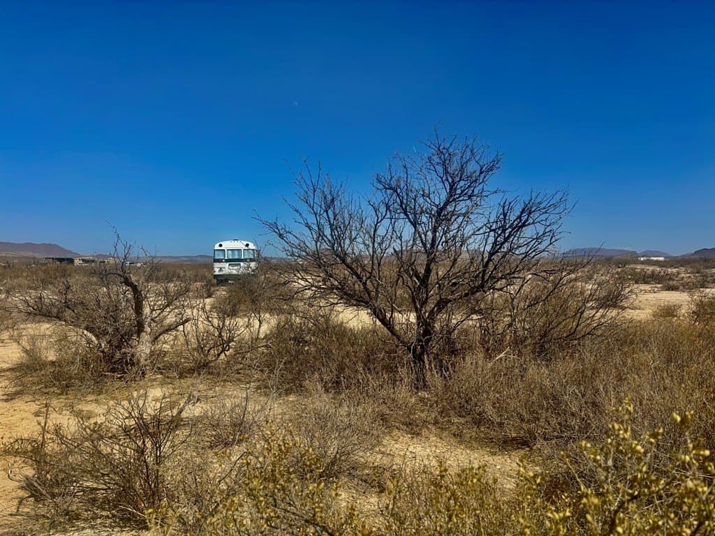 5 acres in Brewster County gallery image 4