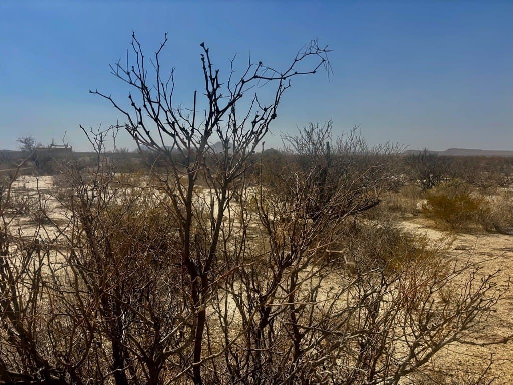 5 acres in Brewster County - photo 14