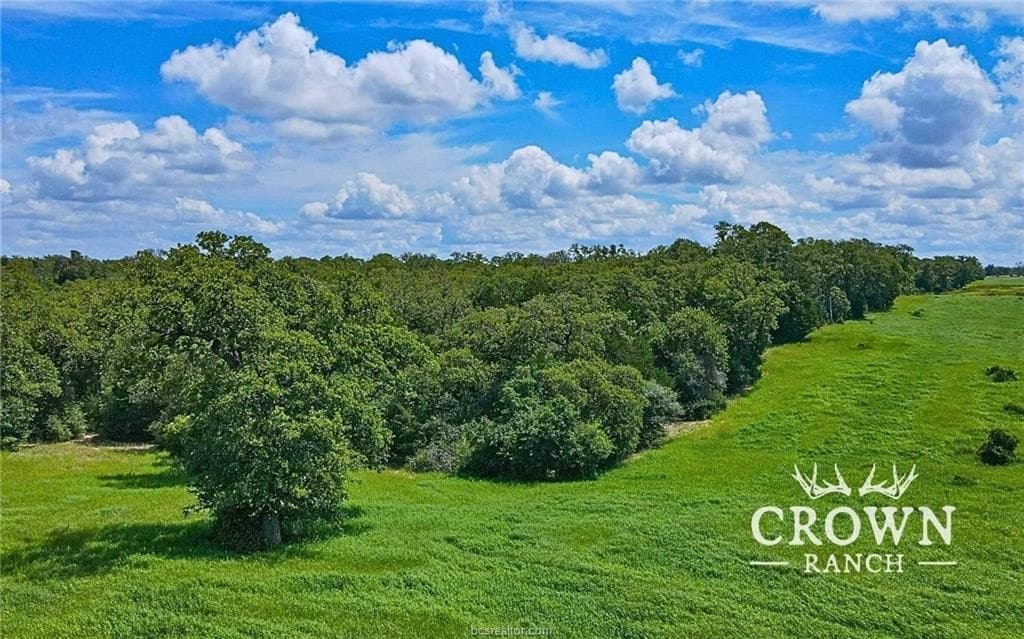 1,057 acres in Burleson County gallery image 4
