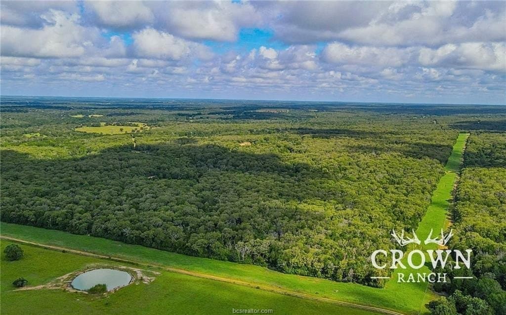 1,057 acres in Burleson County gallery image 3