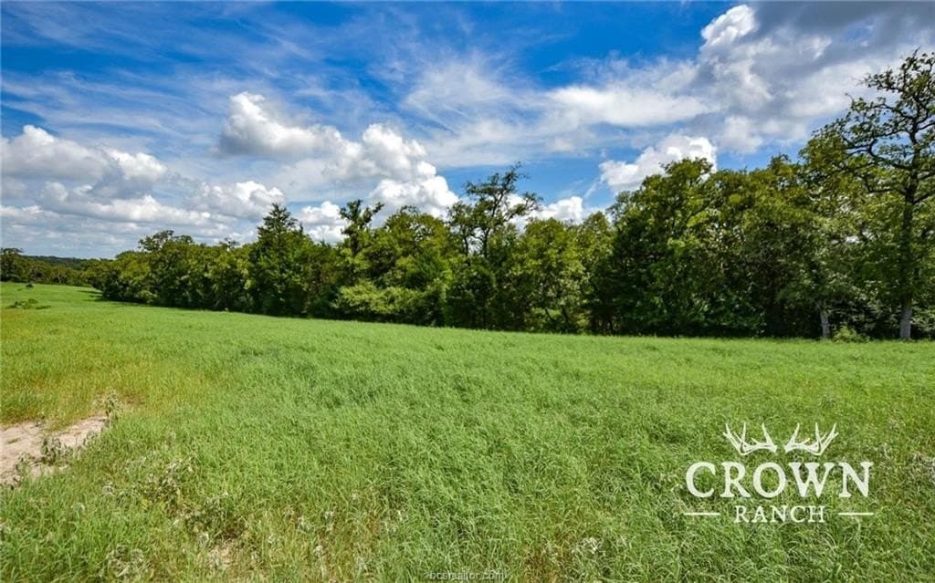 1,057 acres in Burleson County gallery image 2