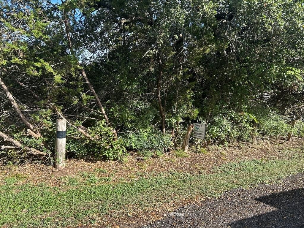 0.29 acres in Bosque County gallery image 2