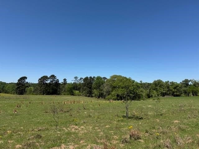 2 acres in Texas County featured view