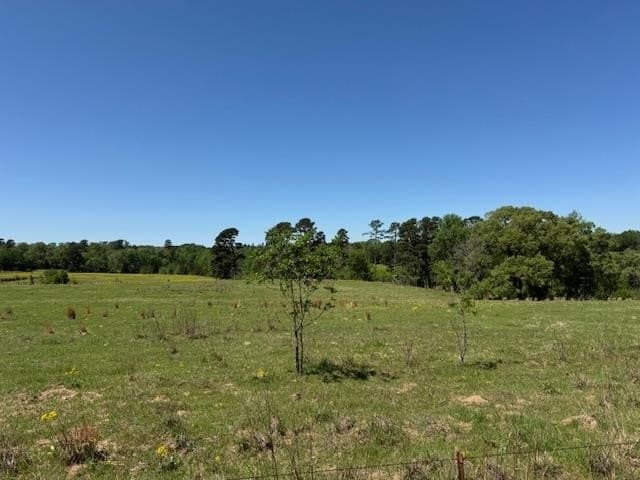 2 acres in Texas County gallery image 3