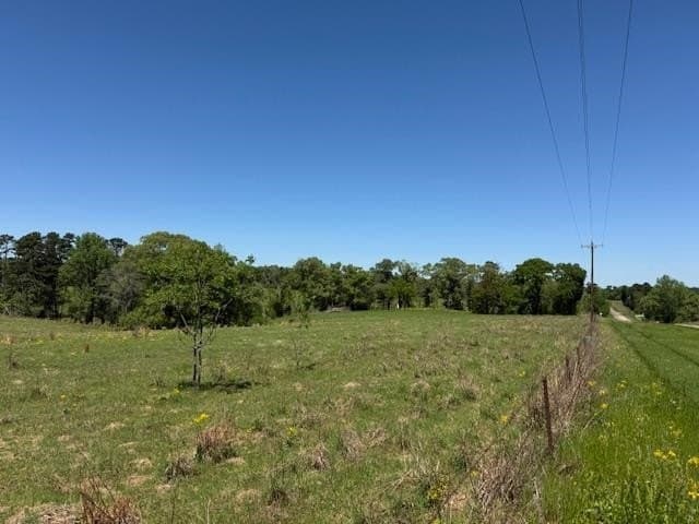 2 acres in Texas County gallery image 4