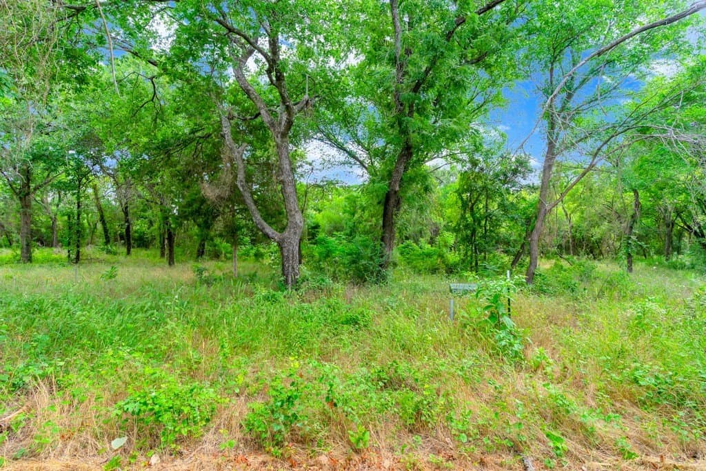 1 acres in Johnson County gallery image 3
