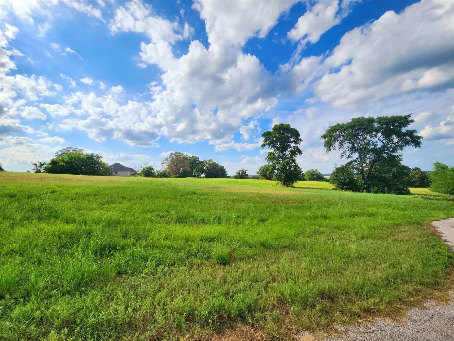 1.11 acres in Henderson County gallery image 2