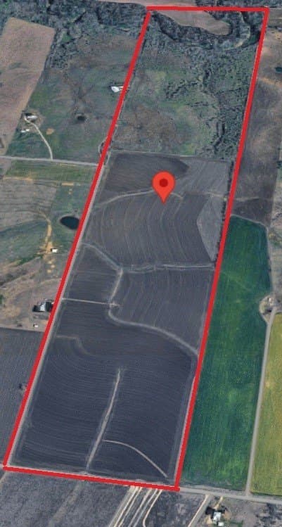 196 acres in Williamson County gallery image 2
