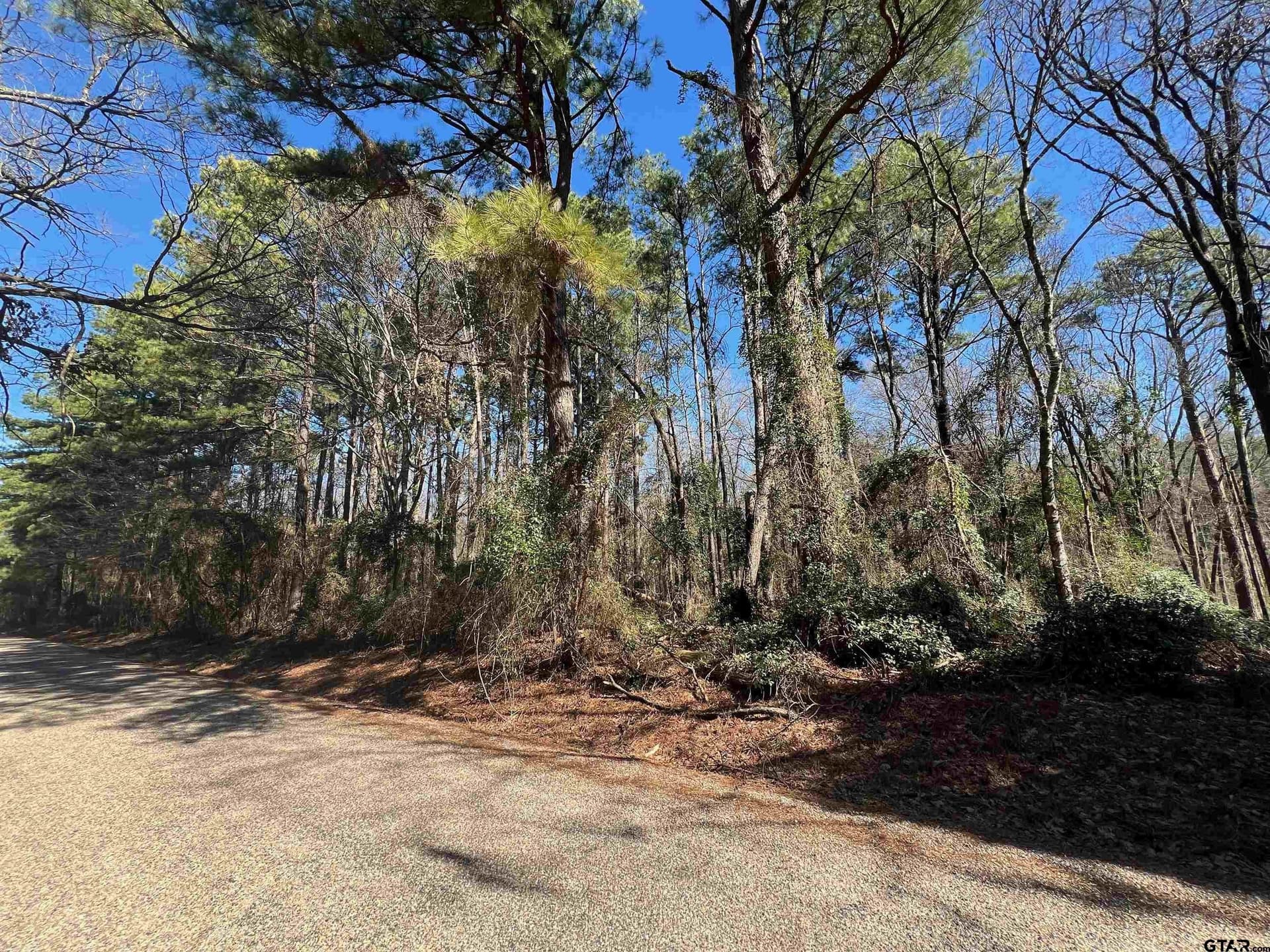 20 acres in Camp County