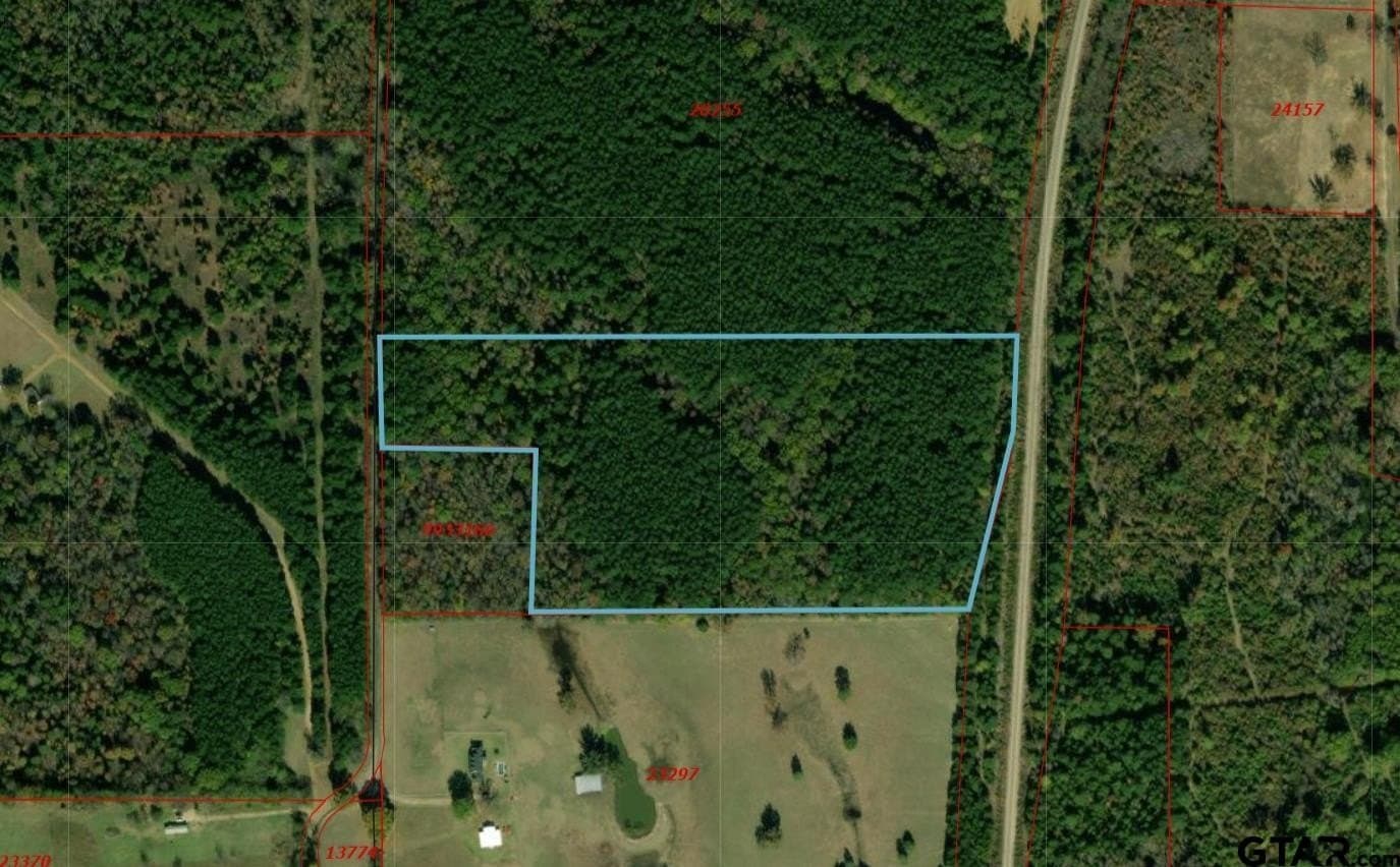 20 acres in Camp County gallery image 3