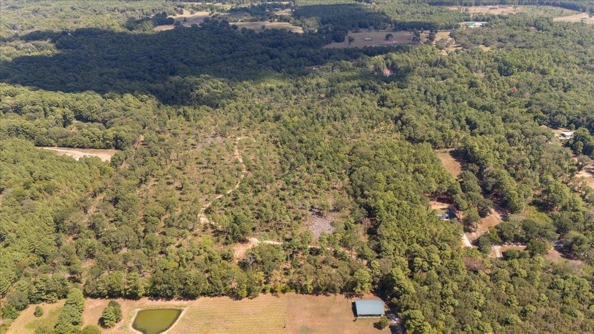 51.73 acres in Gregg County - photo 2