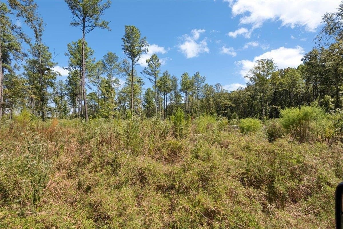 51.73 acres in Gregg County - photo 13