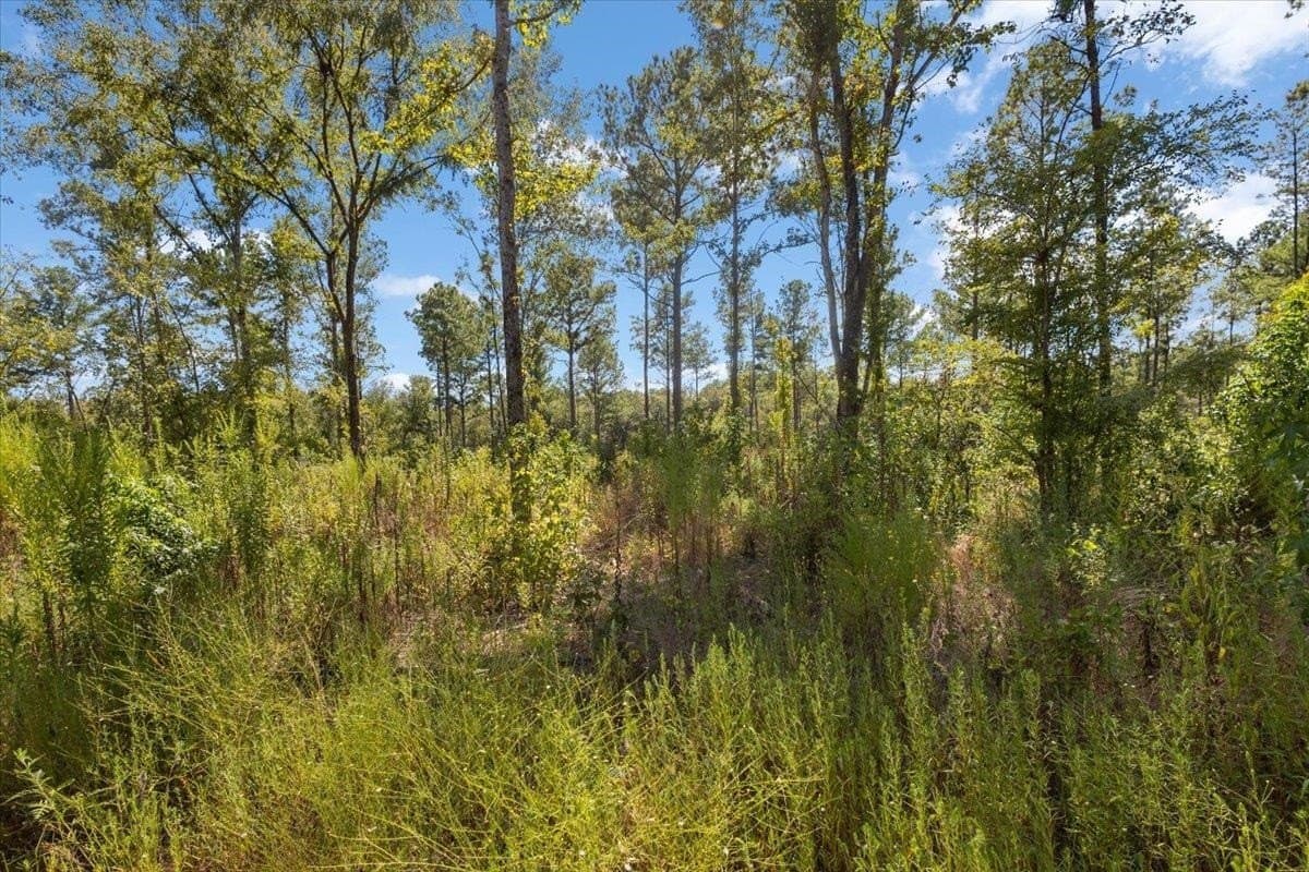 51.73 acres in Gregg County - photo 12