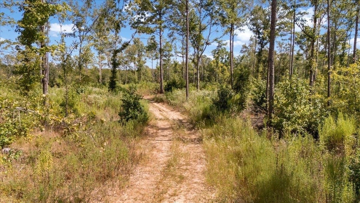 51.73 acres in Gregg County - photo 15