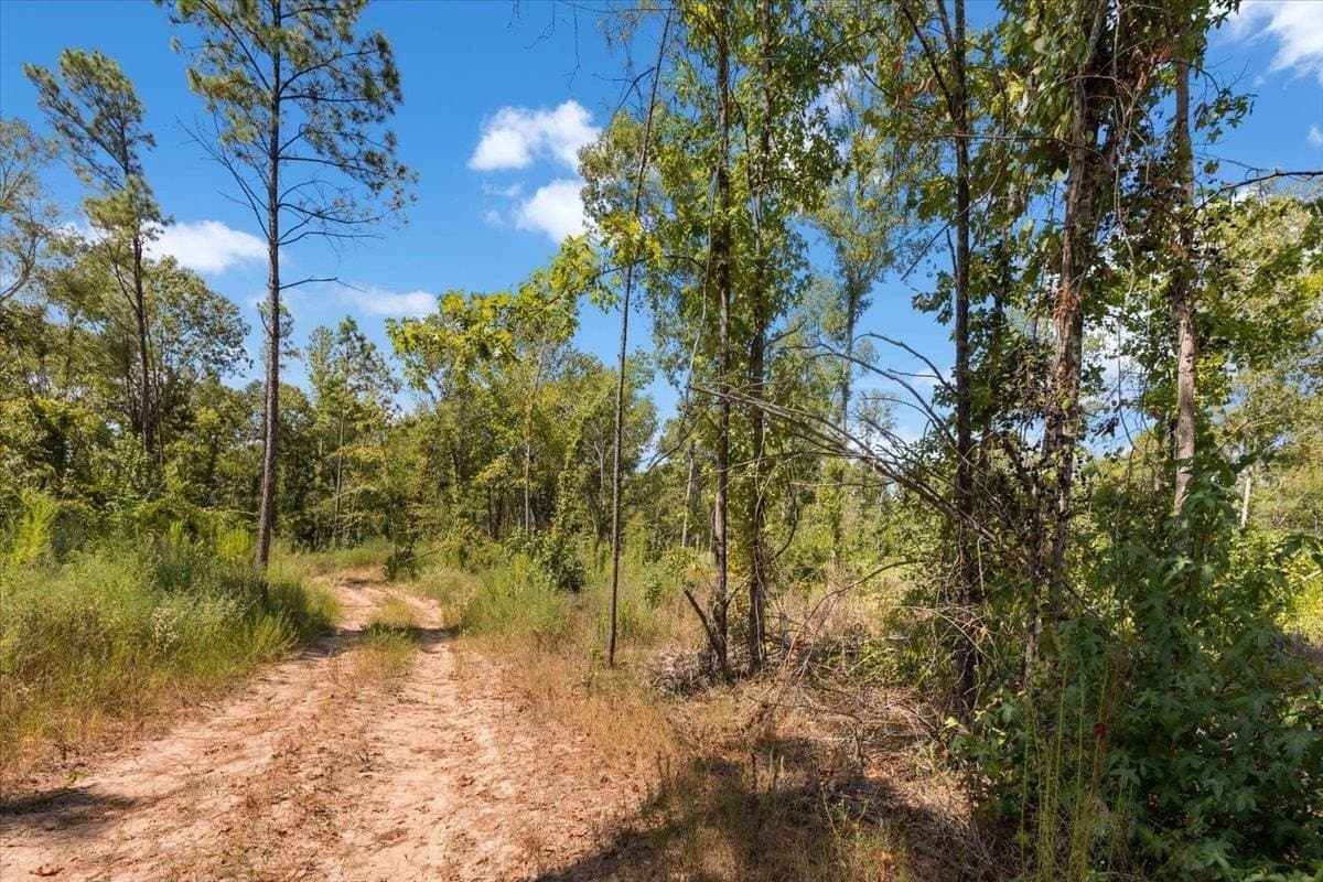 51.73 acres in Gregg County - photo 9