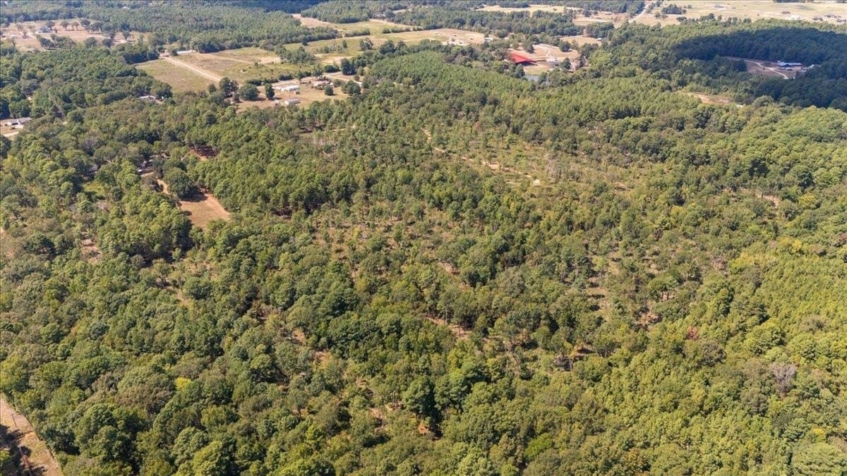 51.73 acres in Gregg County - photo 5