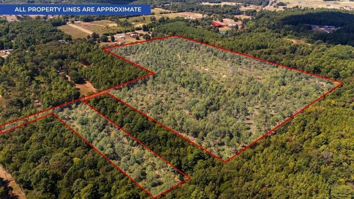 51.73 acres in Gregg County - photo 7