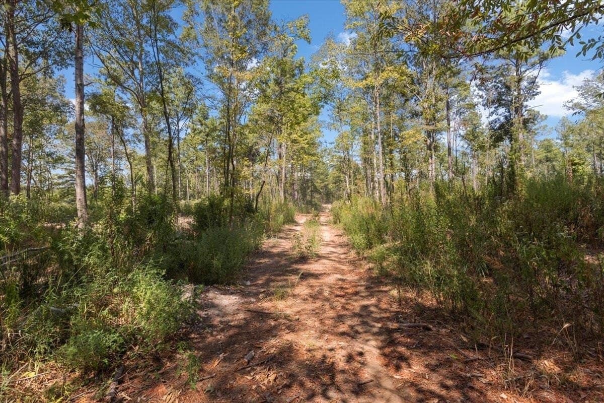 51.73 acres in Gregg County - photo 14