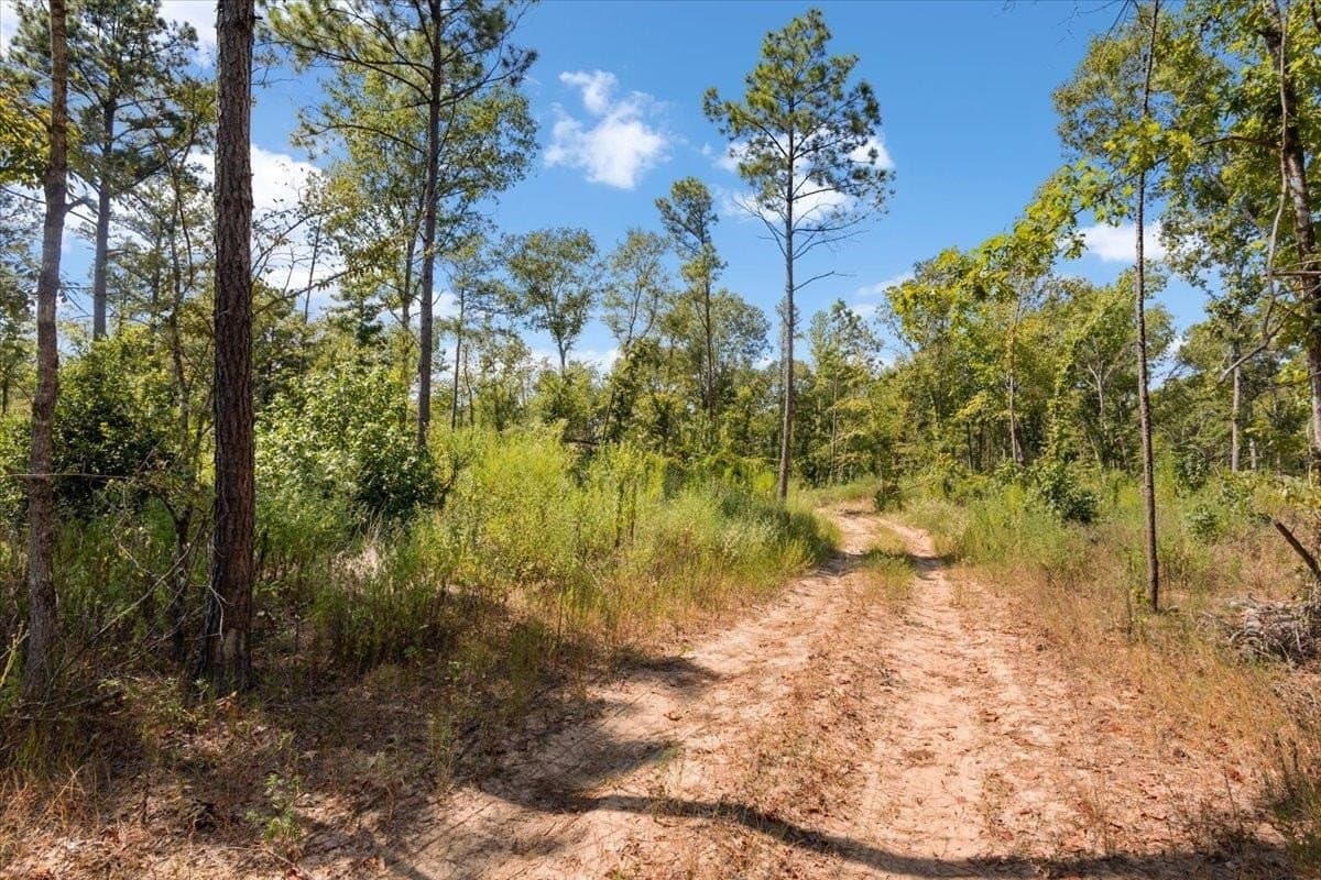 51.73 acres in Gregg County - photo 10
