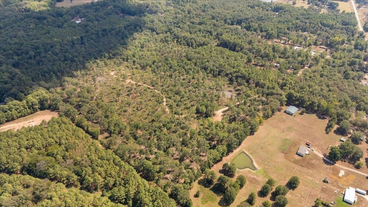 51.73 acres in Gregg County - photo 3