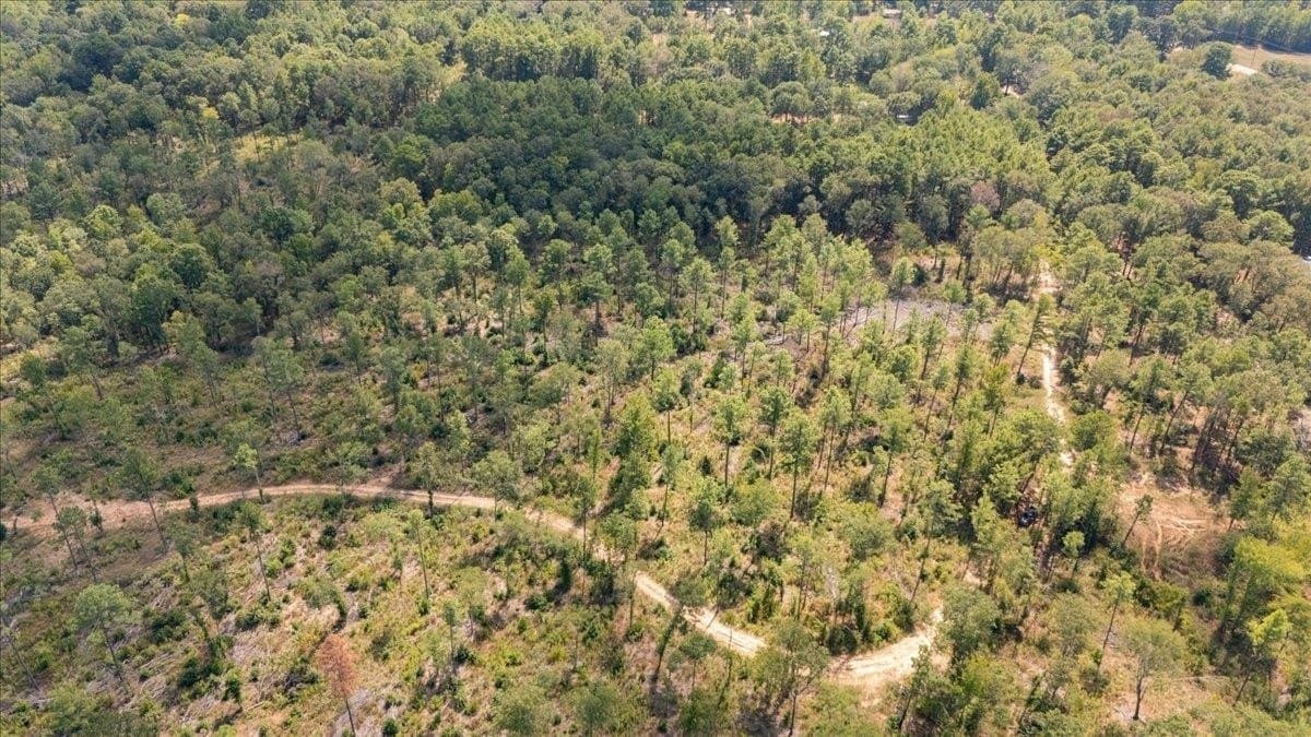 51.73 acres in Gregg County - photo 4