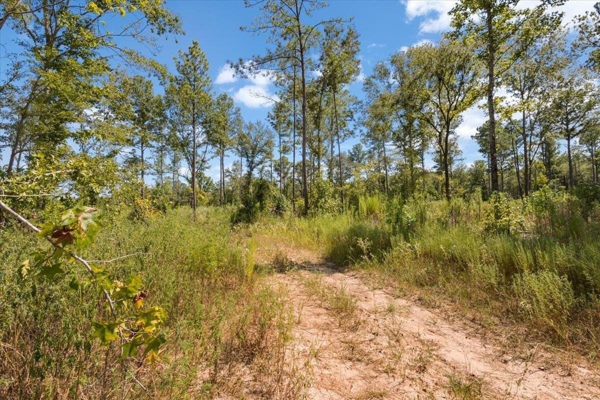 51.73 acres in Gregg County - photo 11