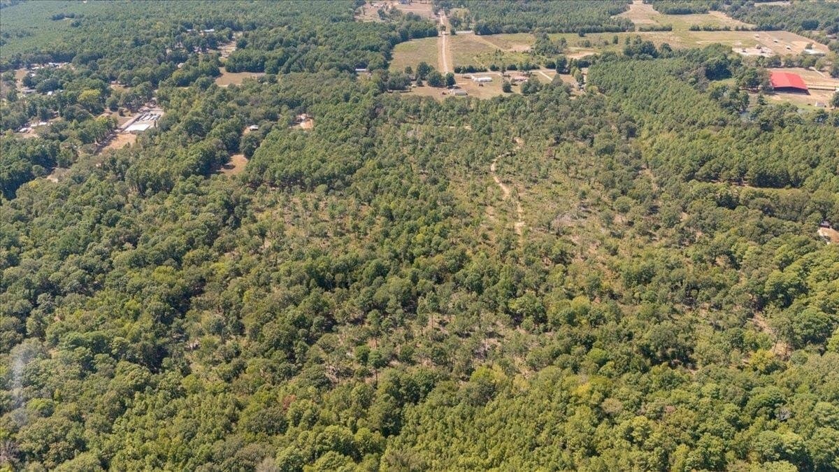 51.73 acres in Gregg County - photo 6