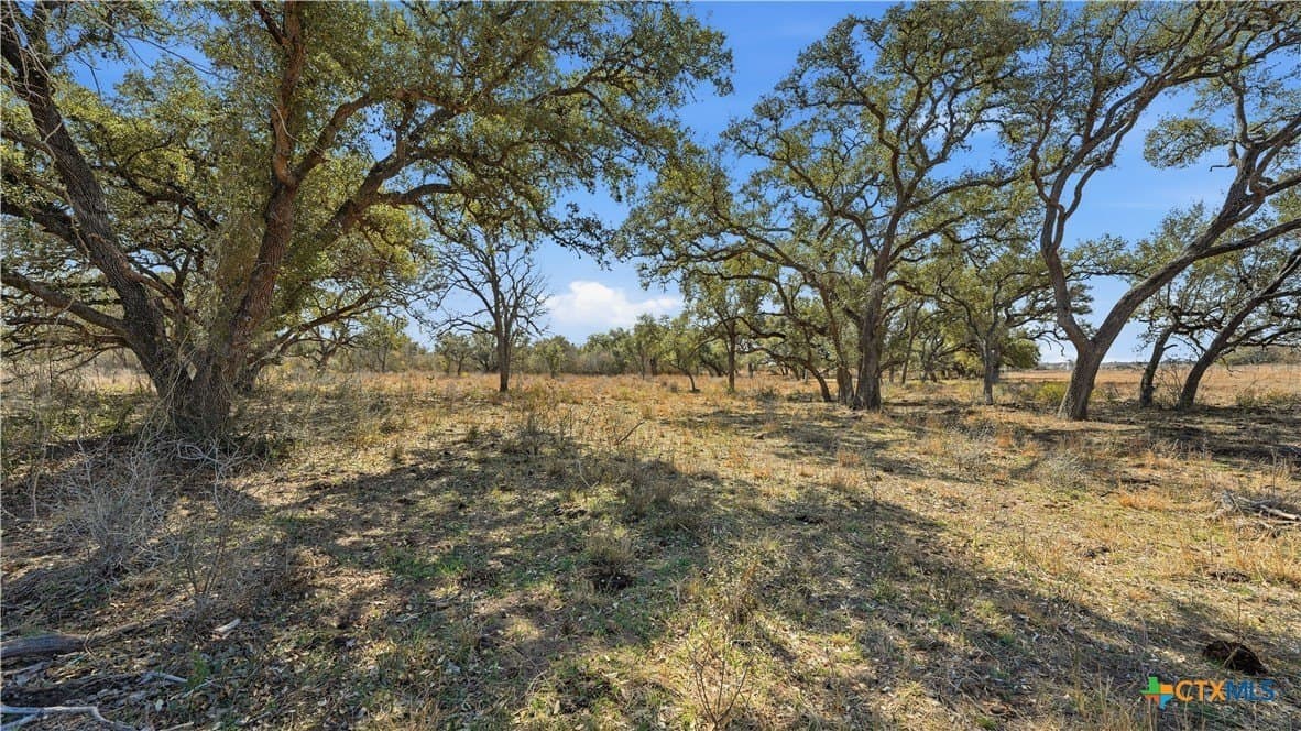 43.67 acres in DeWitt County gallery image 2